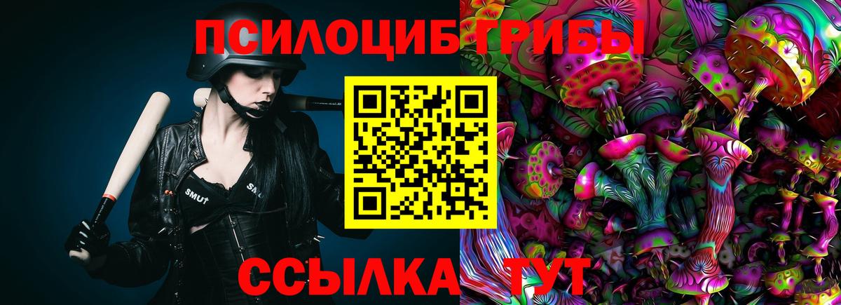 Псилоцибиновые грибы MAGIC MUSHROOMS Видное