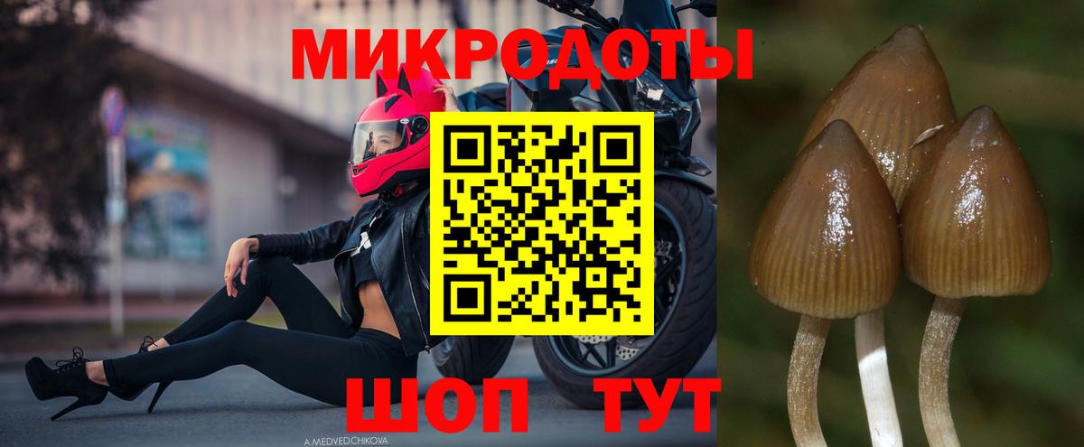 Галлюциногенные грибы Psilocybine cubensis  Вход с VPN  Псилоцибиновые грибы мицелий  Видное 