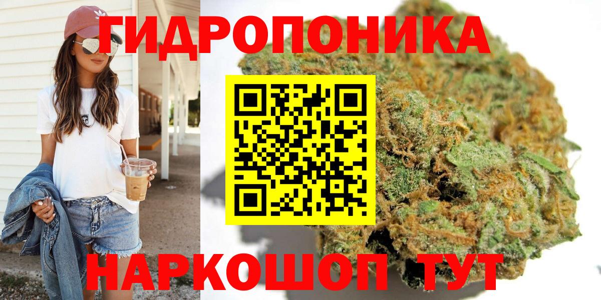 Видное  Каннабис тримм  МАРИХУАНА план  Вход с VPN  Канабис VHQ 
